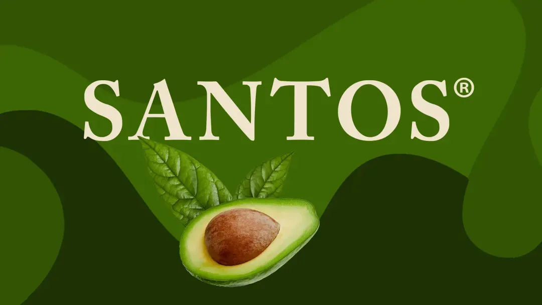 Santos cover image